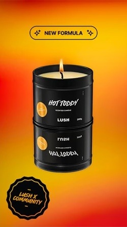 Hot Toddy Single Wick Candle